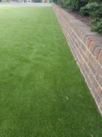 Artificial Grass